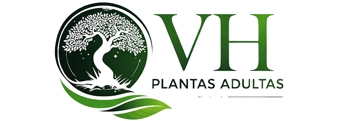 VH Plantas Adultas
